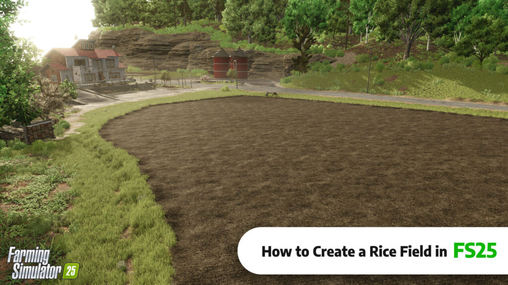 How to grow rice