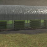 Improved rice greenhouse2