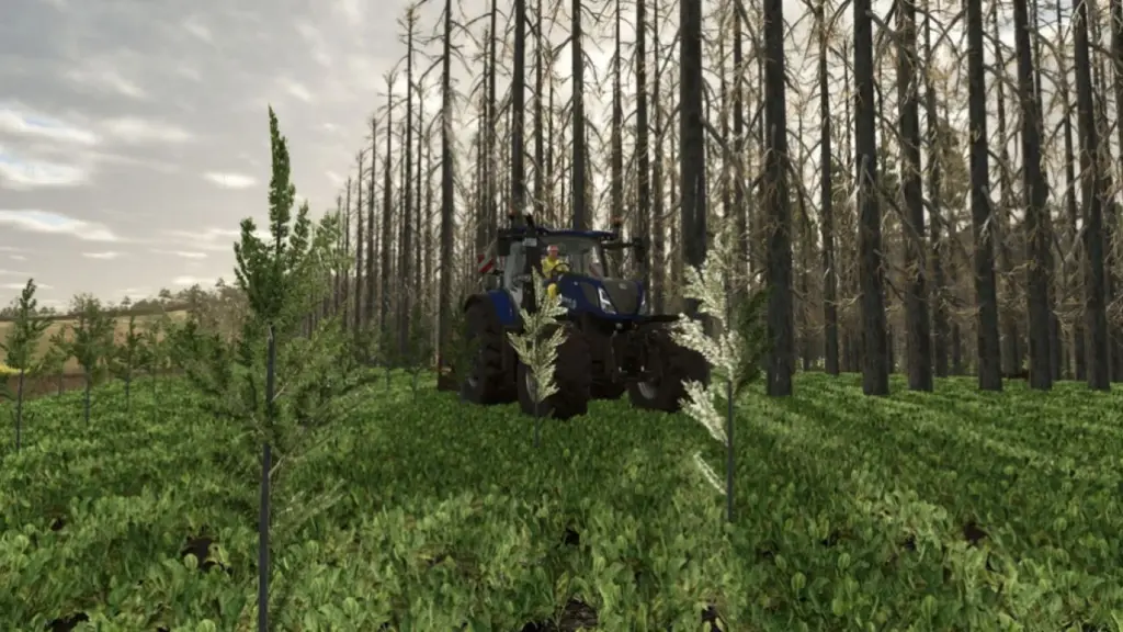 No tree limits v1.0