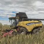 Realistic Maize Texture v1.0