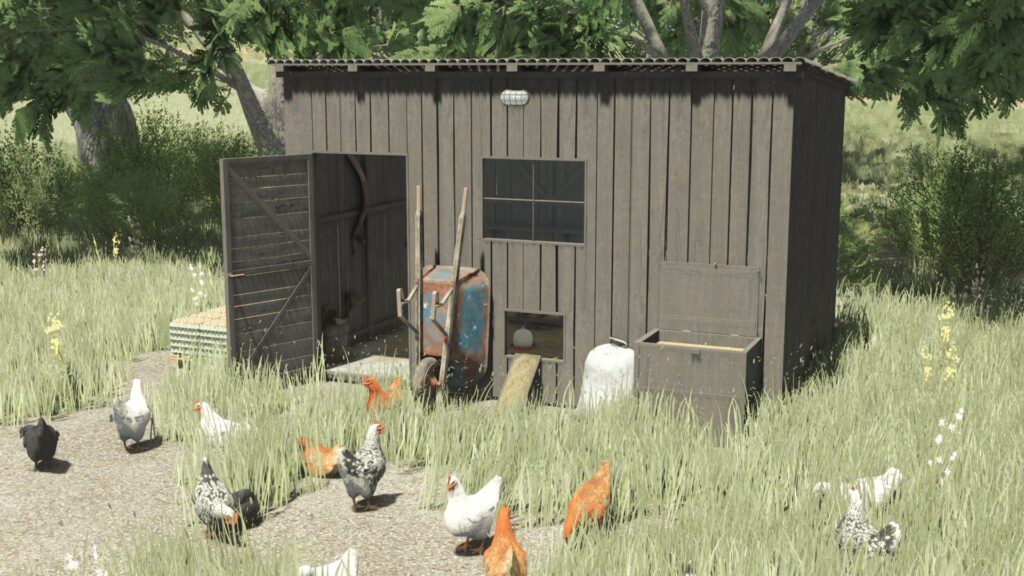 Small Chicken Coop 5x3