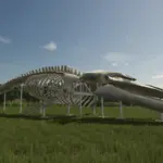 Whale Skeleton Sculpture v1.02