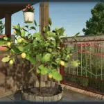 Lemon Tree v1.0