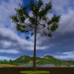 Arariaucaria v1.02