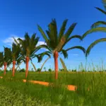 Coconut tree v1.02