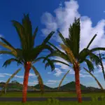 Coconut tree v1.05