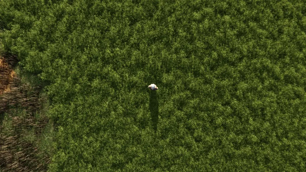 More beautiful grass v1.0