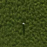 More beautiful grass v1.0