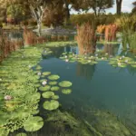 Natural Waterplants v1.0