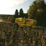 Sunflower Texture v1.03