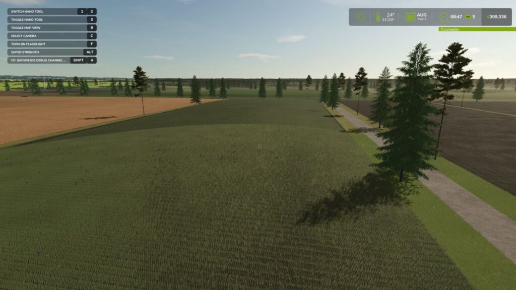 Birch Run