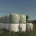 Decorative Bales2