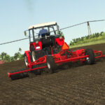 Lizard PB5-0324