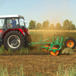 Lizard PB5-0325