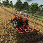 Lizard Tiller 174