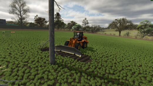Loader fork