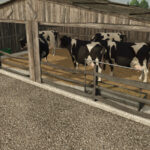 Old Cow Barns4