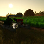 Custom Rice Fields BR6