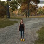 Dutch clogs