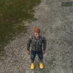 Dutch clogs2