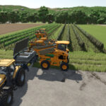 Grape And Olive Yield Settings4