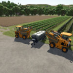 Grape And Olive Yield Settings5