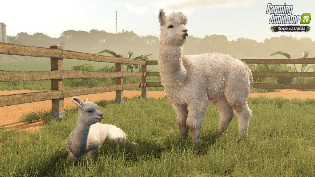New expansion: Beans & Alpacas are coming