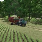 PIM-403