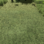 Realistic Hay Drying Mod