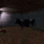Small Polish Farm Package3